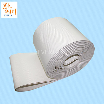 食品<a href='http://m.dsjvvrk.cn/shusongdai/' target='_blank'><u>輸送帶</u></a>