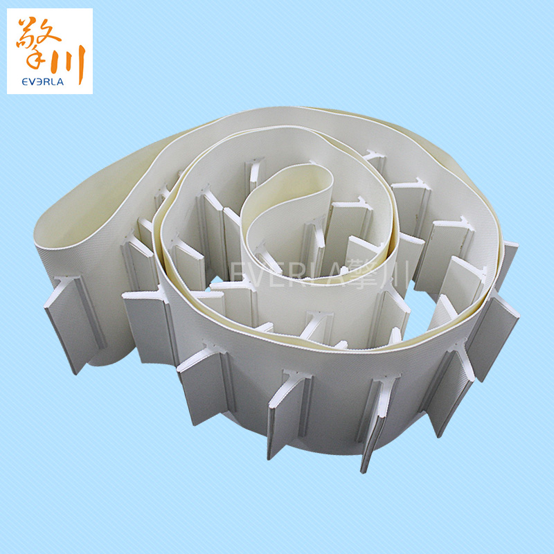 白色鉆石紋加擋板pvc<a href='http://m.dsjvvrk.cn/shusongdai/' target='_blank'><u>輸送帶</u></a>主圖