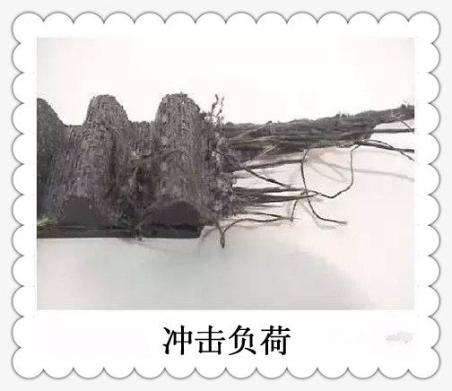 <a href='http://m.dsjvvrk.cn/' target='_blank'><u>工業(yè)皮帶</u></a>