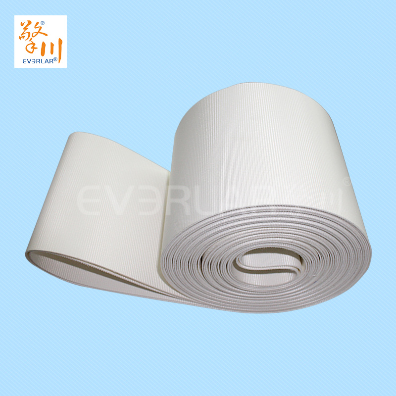 食品皮帶<a href='http://m.dsjvvrk.cn/shusongdai/' target='_blank'><u>輸送帶</u></a>
