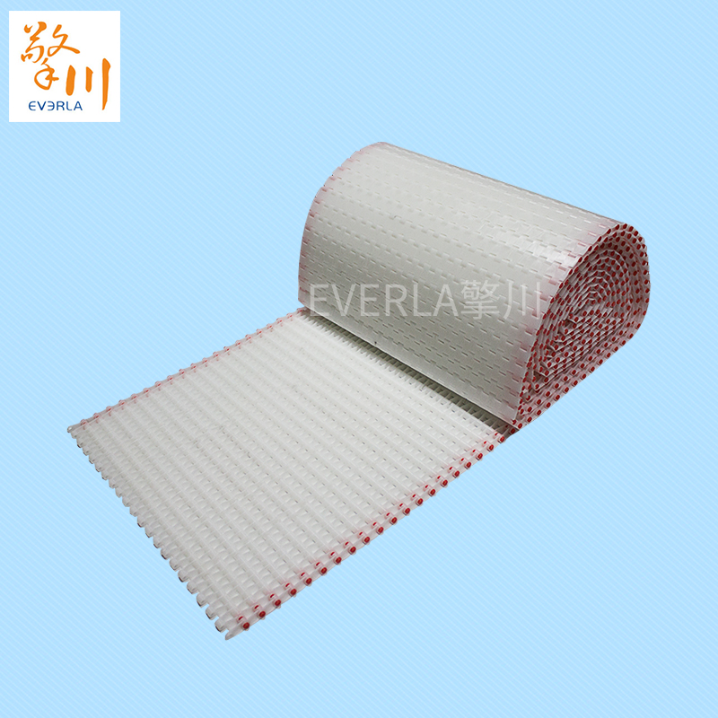 鏈板<a href='http://m.dsjvvrk.cn/shusongdai/' target='_blank'><u>輸送帶</u></a>
