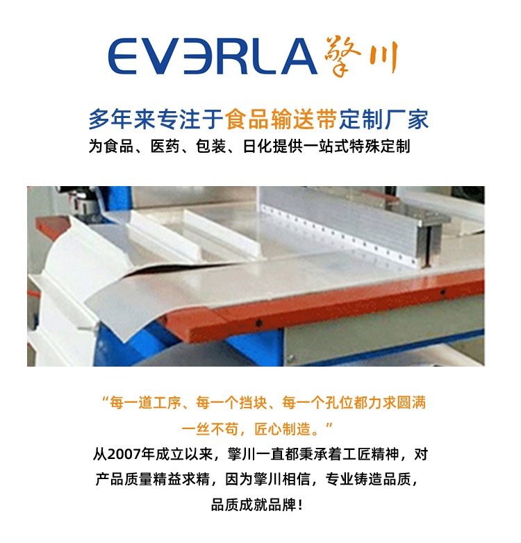 雙面纖維<a href='http://m.dsjvvrk.cn/shusongdai/' target='_blank'><u>輸送帶</u></a>